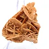 Pétalos minerales del Sahara argelino - 2