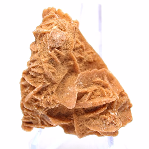 Pétalos minerales del Sahara argelino