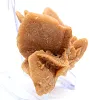 Auténtica cristalización de yeso - 3