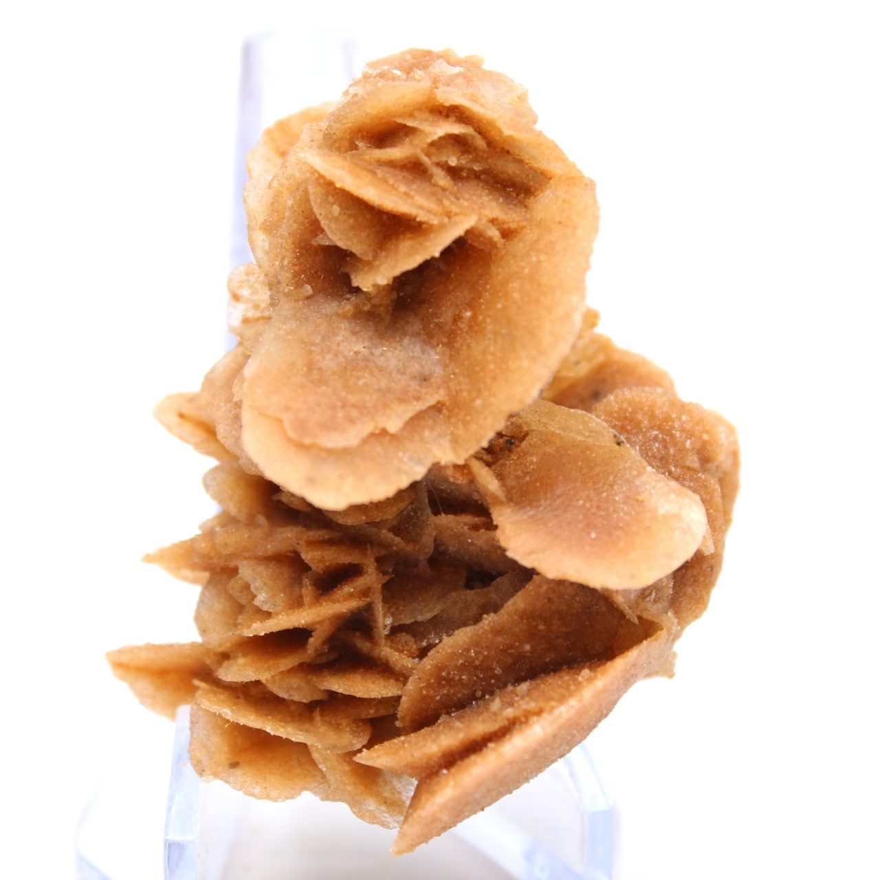 Pétalos de arena cristalizados, Argelia