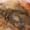 Madera de Majunga Petrificada - Rebanada Pulida de Origen Natural - 4