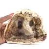 Rodaja de madera silicificada natural - Ejemplar de Madagascar - 0
