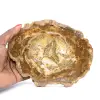 Pequeño trozo de madera petrificada - Autenticidad de Madagascar - 0