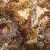 Gran trozo de madera petrificada - Colección Majunga - 4