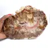 Madera fosilizada de Madagascar - Gran rebanada pulida - 0
