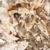Gran trozo de madera petrificada de Madagascar - Pieza excepcional - 4