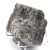 Turmalina negra grande de Madagascar: mineral auténtico - 2
