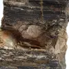 Ejemplar mineralógico: Turmalina negra en bruto de Madagascar - 5