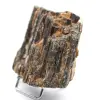 Turmalina negra de Madagascar - Cristal compacto en bruto - 2