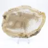 Rebanada de geoda de ágata brasileña - 1