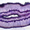 Decoración mineral: Lámina de ágata púrpura brasileña - 2