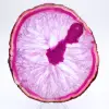 Rebanada de ágata natural teñida de rosa - 1