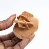 Mini Rosa del Desierto Marroquí: ejemplar de yeso natural - 1