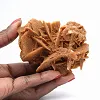 Rosa del desierto del Sahara argelino - 1