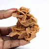 Ejemplar mineralógico crudo del desierto - 1