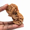 Estructura mineral del desierto argelino - 1