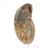 Ammonites de Madagascar: Muestra mineralógica - 3