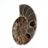 Ammonites pulidos de Mahajanga: tesoros paleontológicos - 2