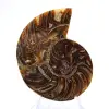 Amonites pequeños de Madagascar: Pureza mineral - 1