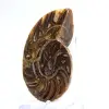 Amonites pequeños de Madagascar: Pureza mineral - 2