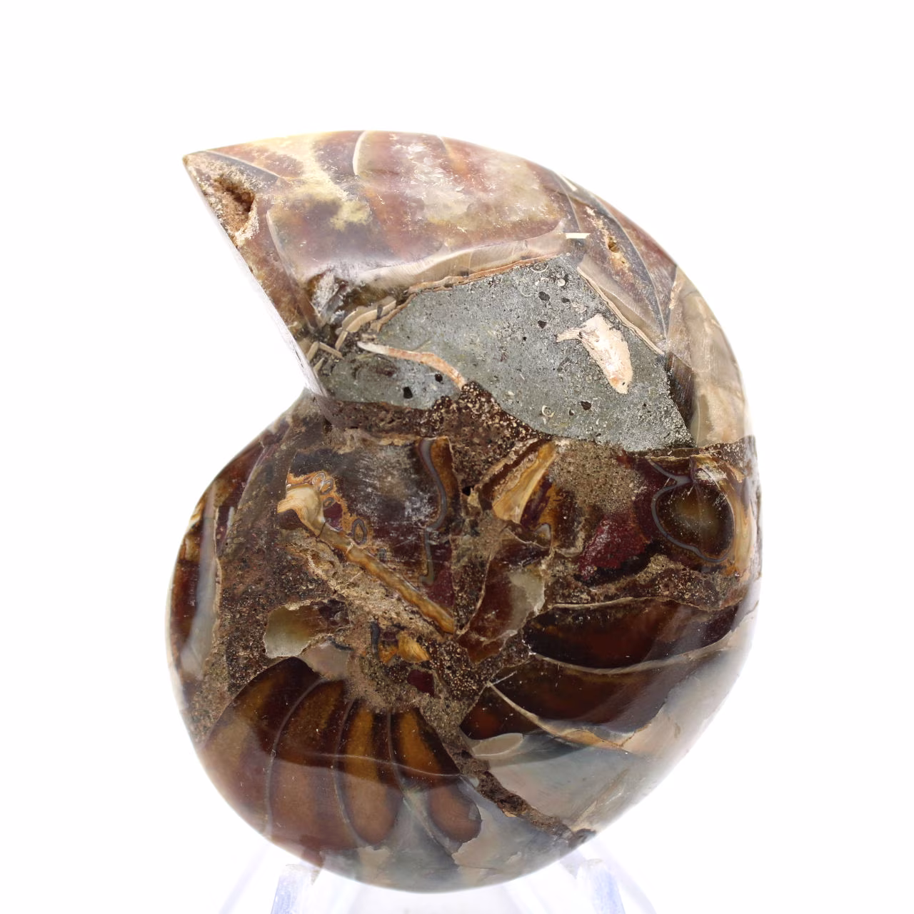 Amonites pequeños de Madagascar: Pureza mineral