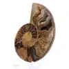 Amonita de Mahajanga: armonía mineral - 3