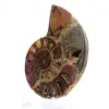 Ammonites de Mahajanga: Dualidad y tradición - 3