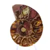Ammonites de Madagascar: Pureza mineral - 1