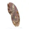 Ammonites de Madagascar: Pureza mineral - 3
