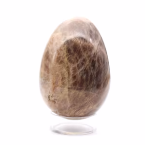 Huevo de piedra lunar negra 205 g