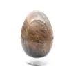 Microclina Madagascar Negra - Huevo 195g - 1