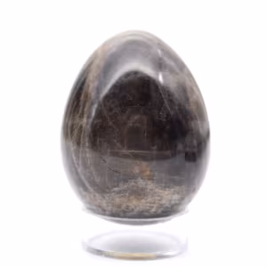 Huevo de piedra lunar negra 145 g