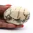 Guijarro de feldespato de Madagascar – Muestra geológica