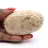 Guijarro de feldespato malgache – Muestra mineralógica