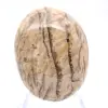 Guijarro de feldespato de Madagascar – Piedra de coleccionista - 1