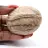 Guijarro de feldespato de Madagascar – Piedra de coleccionista