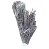 Cyanite noire du Brésil, cristal brut sur socle acrylique 25 g - 0