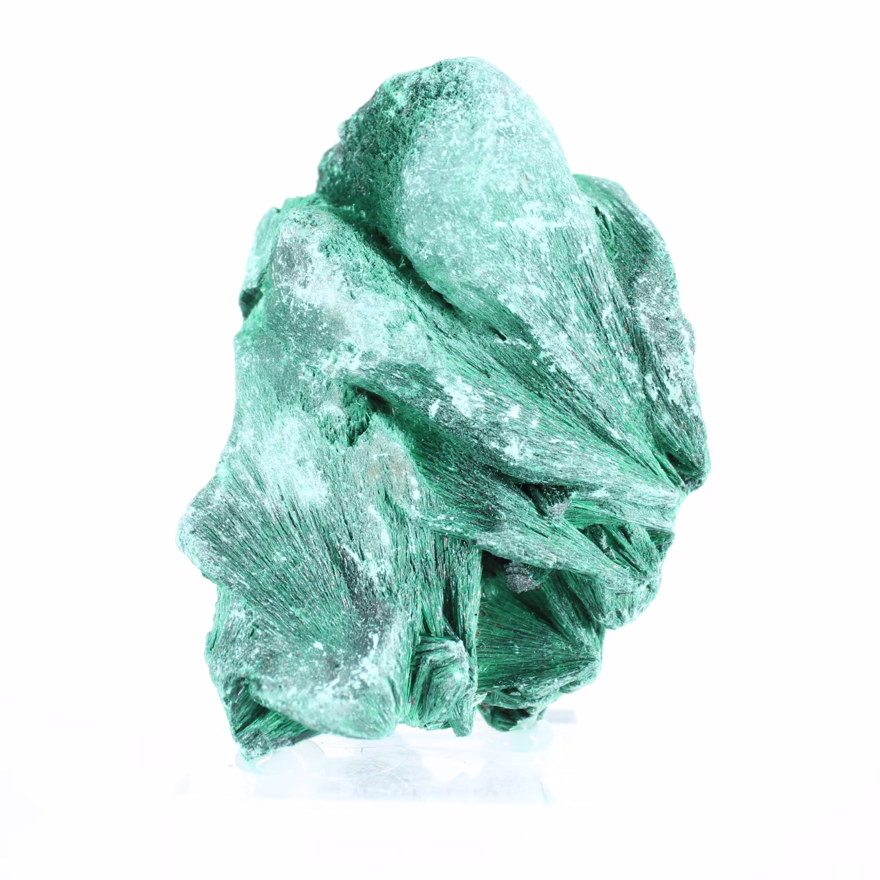Malaquita sedosa del Congo-Kinshasa, mineral de colección sobre peana