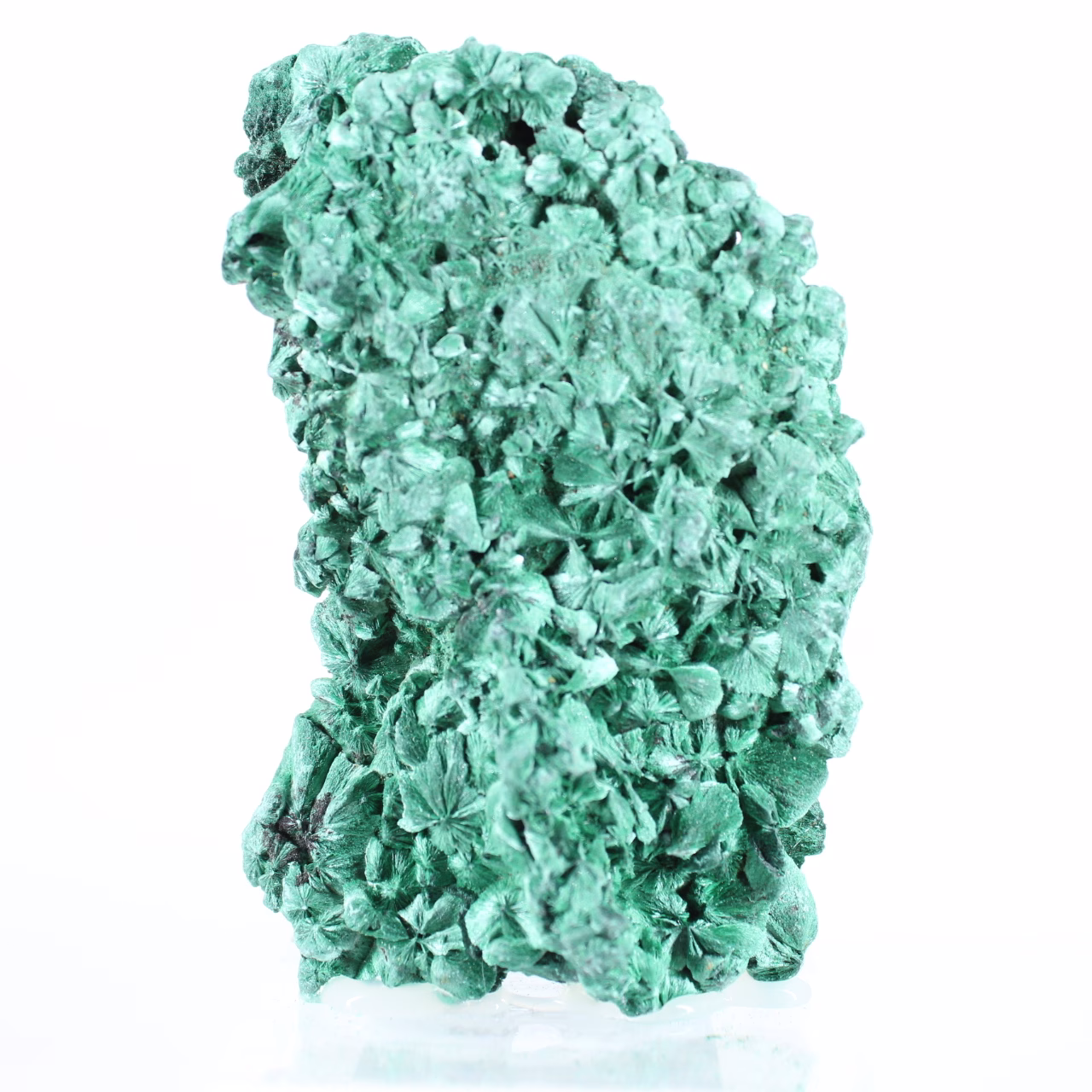 Malaquita fibrosa del Congo, piedra de colección de brillo satinado