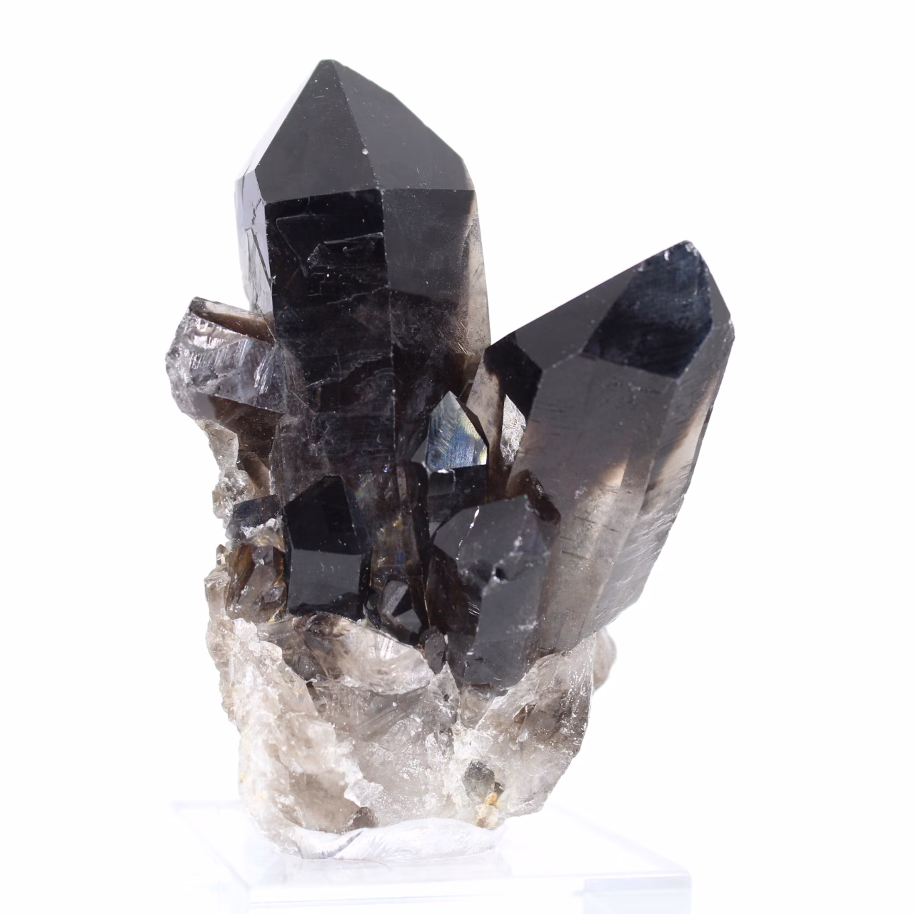 Cuarzo morión negro de Brasil, cristal único con peana de acrílico