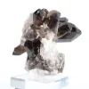 Cristal de cuarzo morión de origen brasileño, expositor de acrílico - 4
