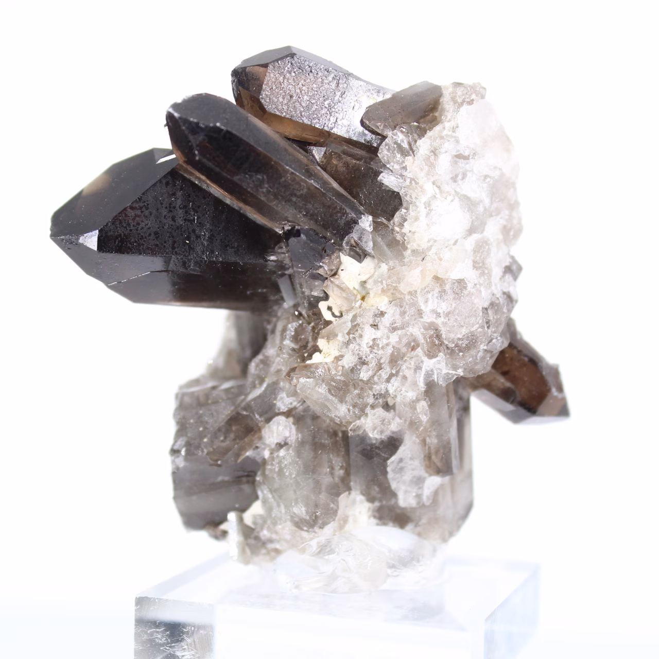 Cristal de cuarzo morión de origen brasileño, expositor de acrílico
