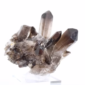 Cristal de cuarzo morión de Brasil, mineral negro montado sobre peana