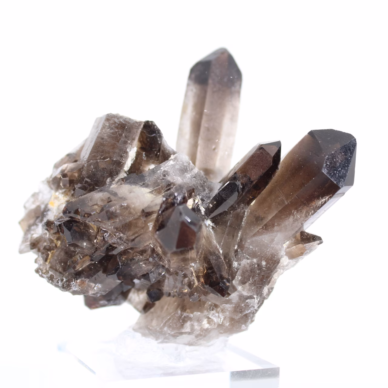 Cristal de cuarzo morión de Brasil, mineral negro montado sobre peana