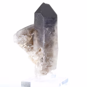 Mini cristal de cuarzo morión de Brasil, piedra negra sobre peana