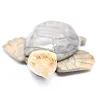 Tortuga de piedra esteatita tallada de Bolivia - 2