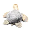 Tortuga de piedra esteatita tallada de Bolivia - 4