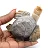Tortuga de piedra esteatita tallada de Bolivia