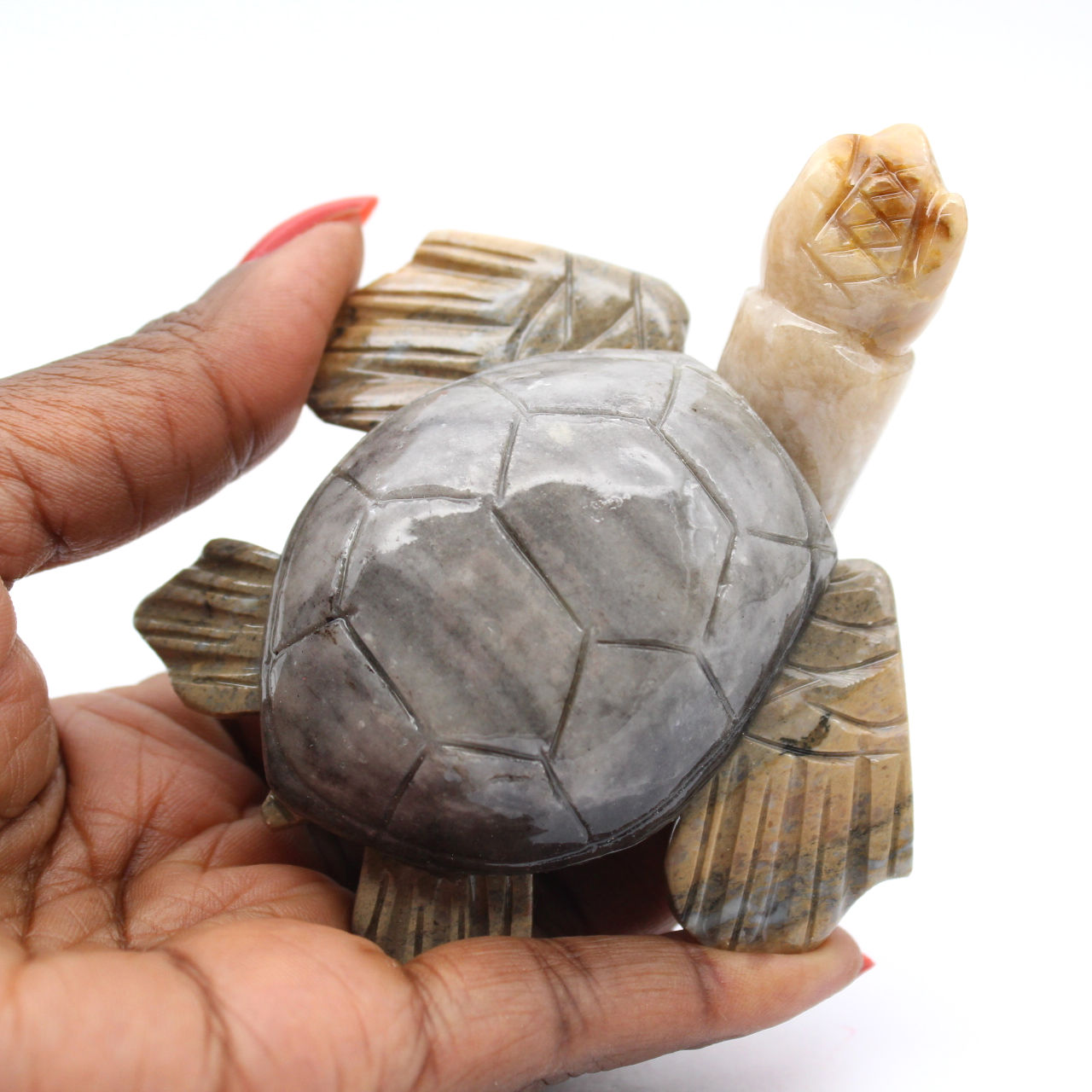 Tortuga de piedra esteatita tallada de Bolivia