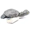 Tortuga decorativa en esteatita natural boliviana - 1